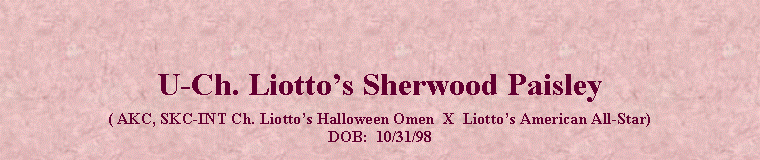 Text Box: U-Ch. Liottos Sherwood Paisley( AKC, SKC-INT Ch. Liottos Halloween Omen  X  Liottos American All-Star)DOB:  10/31/98
