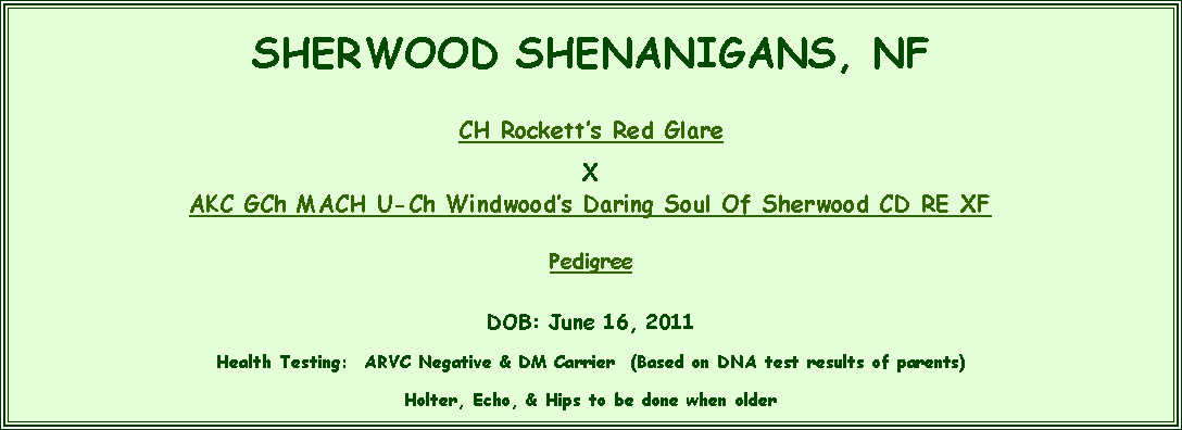 Text Box: SHERWOOD SHENANIGANS, NFCH Rocketts Red Glare XAKC GCh MACH U-Ch Windwoods Daring Soul Of Sherwood CD RE XFPedigreeDOB: June 16, 2011 Health Testing:  ARVC Negative & DM Carrier  (Based on DNA test results of parents)Holter, Echo, & Hips to be done when older